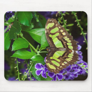 Tapis De Souris Papillon malachite sur fleur violette