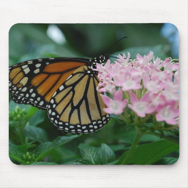 Tapis de souris Papillon Monarque (Devant)