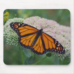 Tapis de souris Papillon Monarque