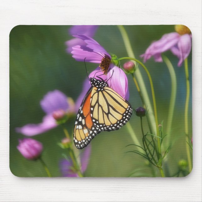 Tapis de souris Papillon Monarque sur fleurs roses (Devant)