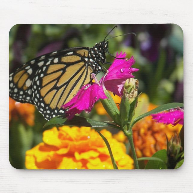 Tapis De Souris Papillon monarque sur marigold-mousepad rose (Devant)