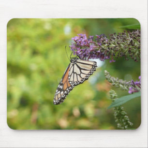 Tapis De Souris Papillon Monarque sur papillon pourpre Bush