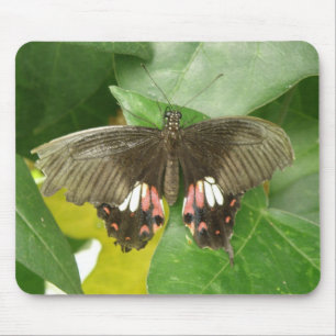 Tapis De Souris Papillon mousepad à queue épaisse