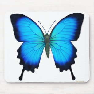 Tapis De Souris Papillon Mousepad de Papilio Ulysse