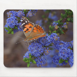 Tapis De Souris Papillon orange sur la fleur bleue