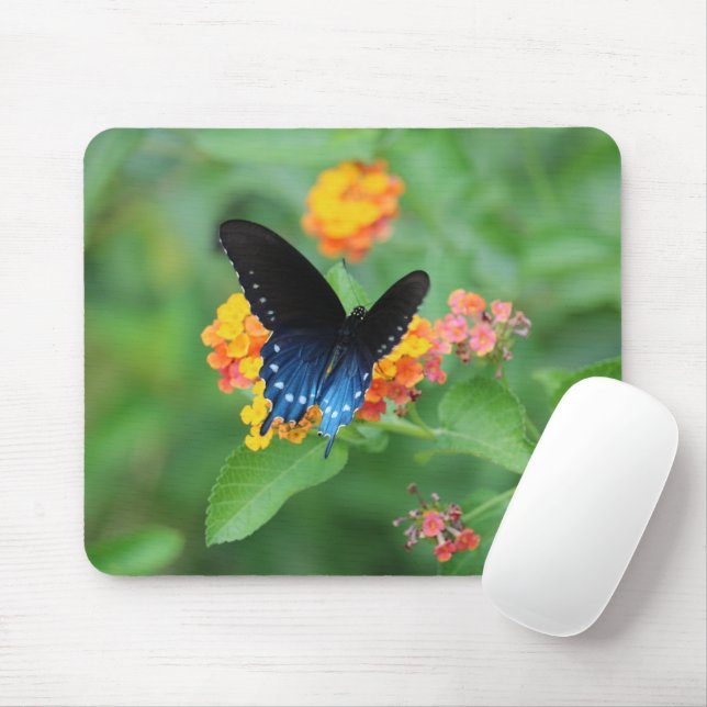 Tapis De Souris Papillon Pipevine/Bleu Swallowtail sur une fleur (Avec souris)