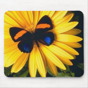 Tapis De Souris Papillon sur la marguerite jaune