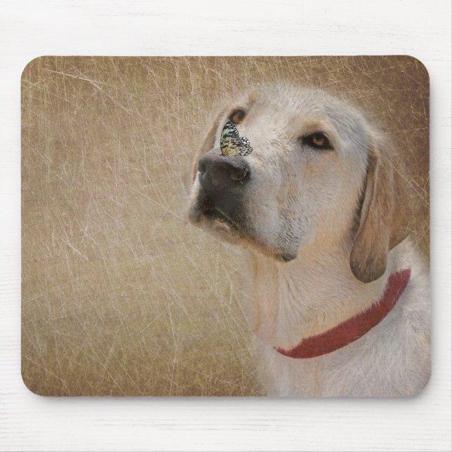Tapis De Souris Papillon sur le nez de Labrador Retriever (Devant)