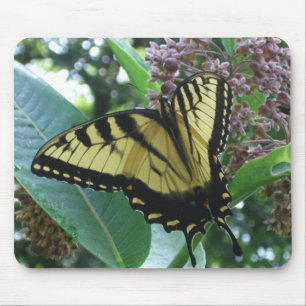 Tapis De Souris Papillon Swallowtail I sur Asclépiade à Shenandoah