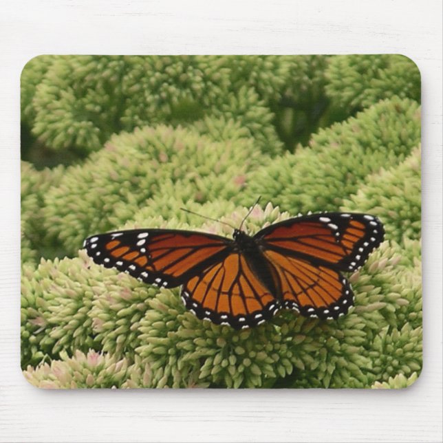 Tapis De Souris Papillon Viceroy Belle photographie de la nature (Devant)