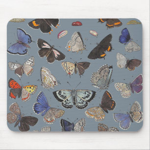 Tapis De Souris Papillons, 1842