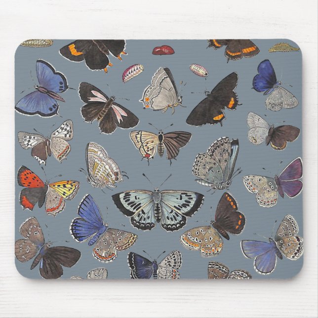 Tapis De Souris Papillons, 1842 (Devant)