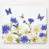Papillons et coccinelle