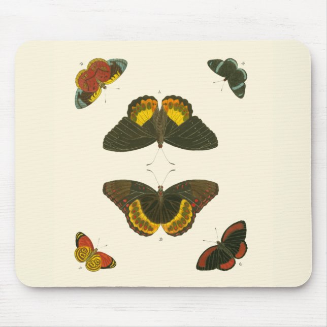 Tapis De Souris Papillons lumineux par Pieter Cramer (Devant)