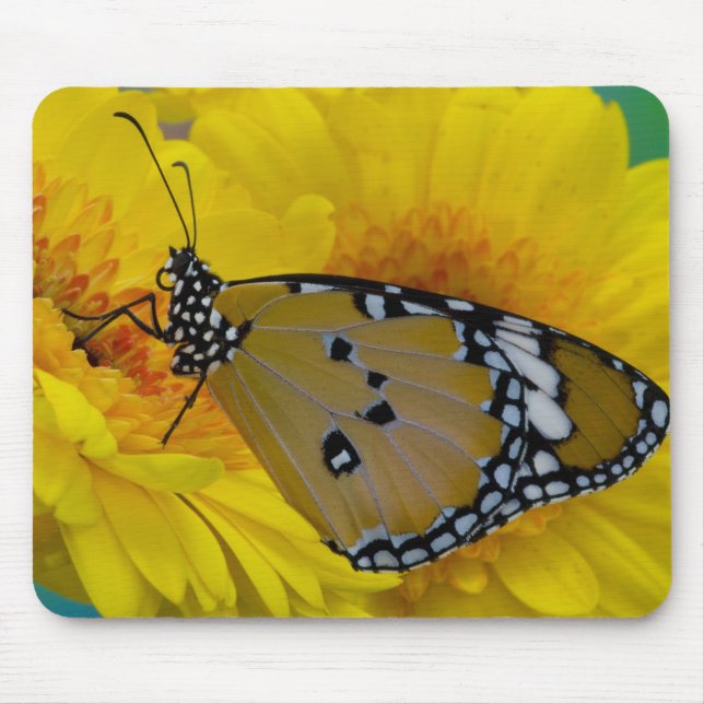 Tapis De Souris Papillons tropicaux (Devant)