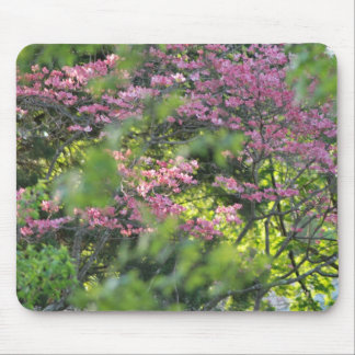 Tapis De Souris Par les arbres