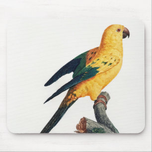 Tapis De Souris Parakeet Soleil, Aratinga solstitialis