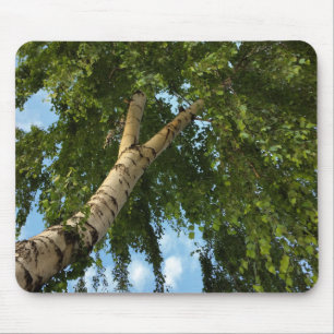 Tapis De Souris parapluie de bouleau