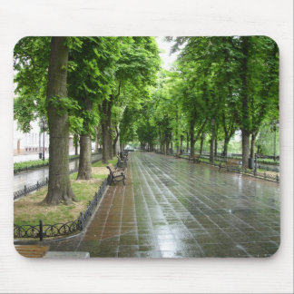Tapis De Souris Parc d'Odessa (3)