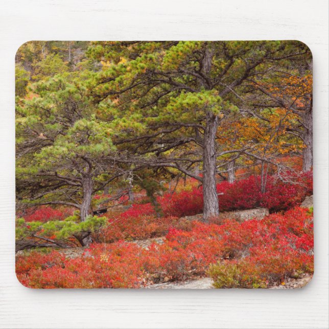 Tapis De Souris Parc national d'Acadia, Maine (Devant)