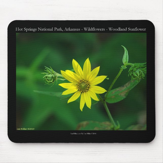 Tapis De Souris Parc national des sources chaudes Cadeaux de tourn (Devant)