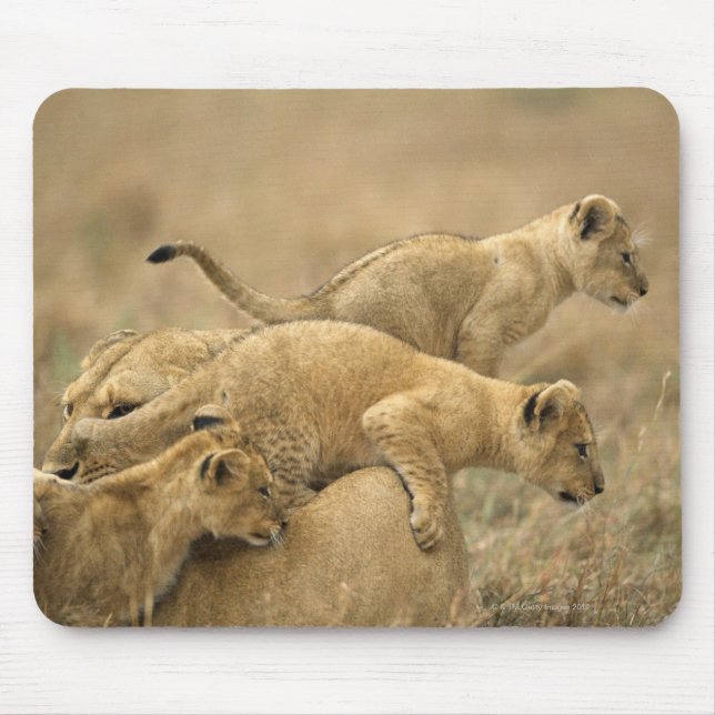 Tapis De Souris Parc national du Serengeti, Tanzanie 2 (Devant)