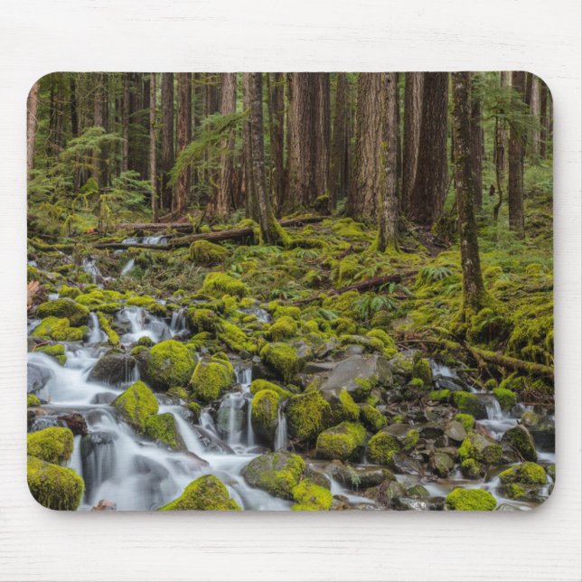 Tapis De Souris Parc national olympique, État de Washington (Devant)