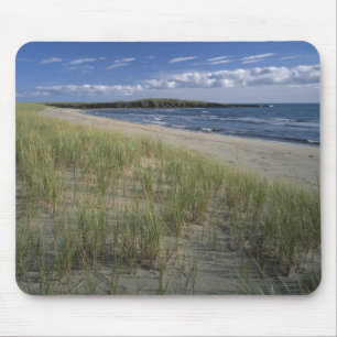 Tapis De Souris Parc provincial J.T. Chessman, herbe des dunes
