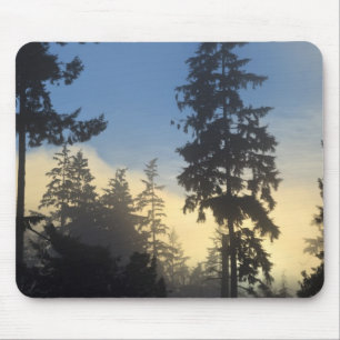 Tapis De Souris Parc Stanley, bois, brouillard de couche marine qu