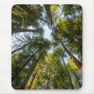 Tapis De Souris Parcs nationaux et d'État de Redwood, Californie