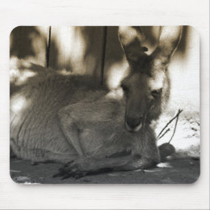 tapis de souris paresseux de kangourou