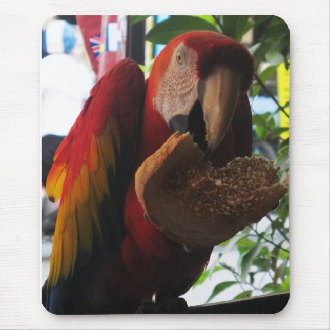 Tapis De Souris Parrot Macaw Scarlet Manger Toast (Devant)