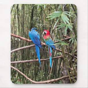 Tapis De Souris Parrot Oiseau Tropical Photo Souris Pad