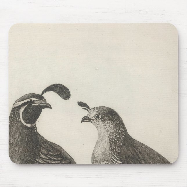 Tapis De Souris Partridge de Californie (Devant)