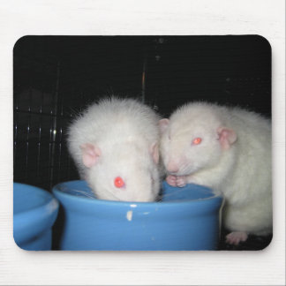 Tapis De Souris Pas un tapis de souris…