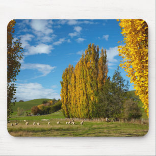 Tapis De Souris Pâturage avec des moutons