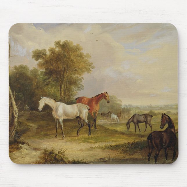 Tapis De Souris Pâturage de chevaux : Un étalon gris frôlant avec (Devant)