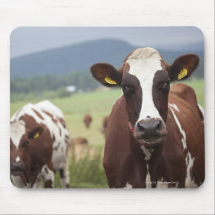 Tapis De Souris Pâturage des vaches