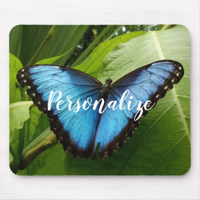 Tapis De Souris Pavé de souris personnalisé avec photo papillon bl (Devant)