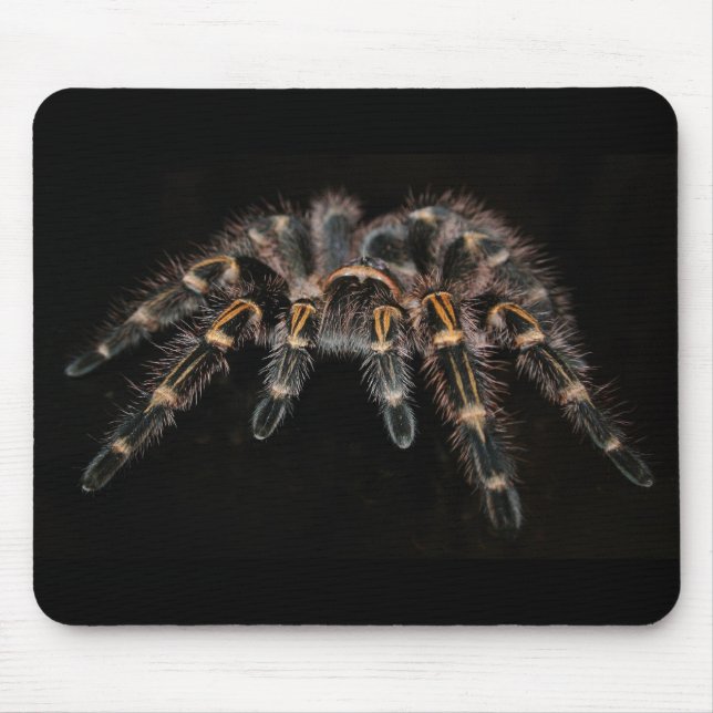 Tapis De Souris pavé de souris tarantule (Devant)