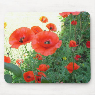 Tapis De Souris Pavot