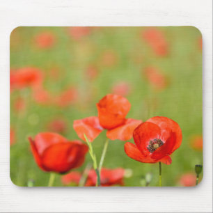 Tapis De Souris Pavots dans un mousepad de champ de pavot