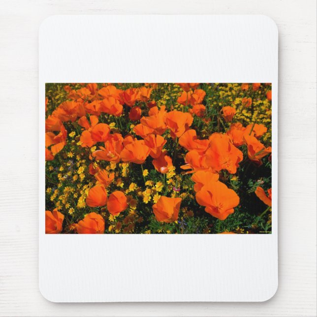 Tapis De Souris Pavots de Californie (Devant)