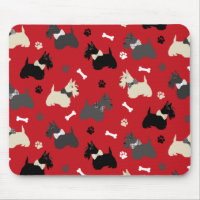 Paws et os écossais