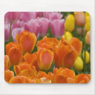 Tapis De Souris Pays-Bas aka Hollande), Lisse. Keukenhof 4