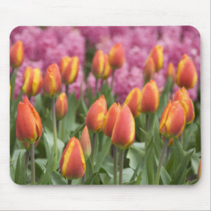 Tapis De Souris Pays-Bas (aussi appelé Hollande), Lisse. Keukenhof