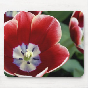 Tapis De Souris Pays-Bas (aussi appelé Hollande), Lisse. Keukenhof