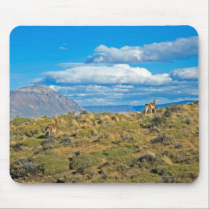 Tapis De Souris Pays de Guanaco, Patagonia