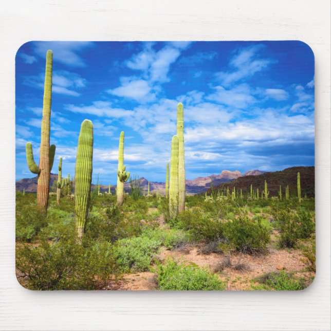 Tapis De Souris Paysage de cactus du désert, Arizona (Devant)