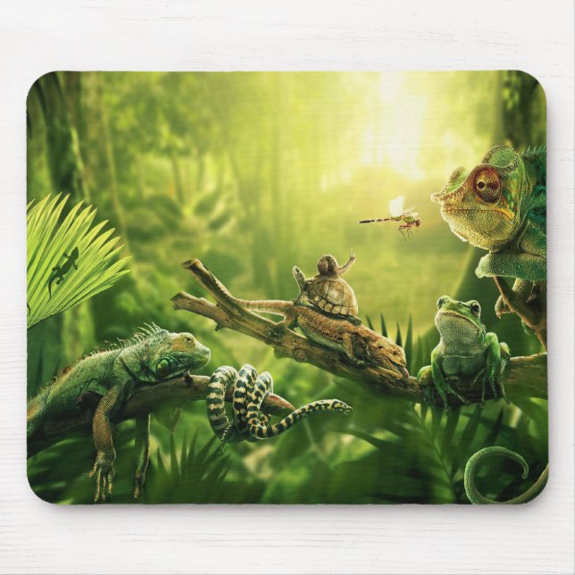 Tapis De Souris Paysage de reptiles de jungle de grenouilles de (Devant)